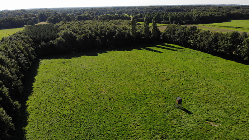 Landwirtschaftliche Fläche 7 Aktuell